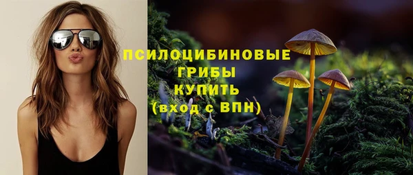 2c-b Надым