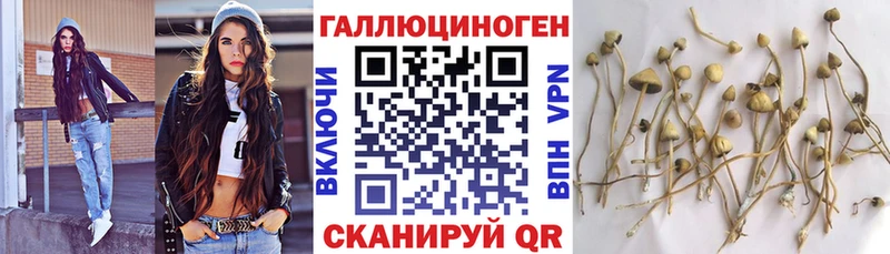 Псилоцибиновые грибы прущие грибы Нижнеудинск