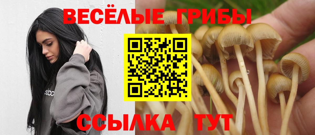 Псилоцибиновые грибы GOLDEN TEACHER Нижнеудинск